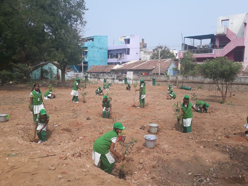 Youth & Eco-Club Mentorship