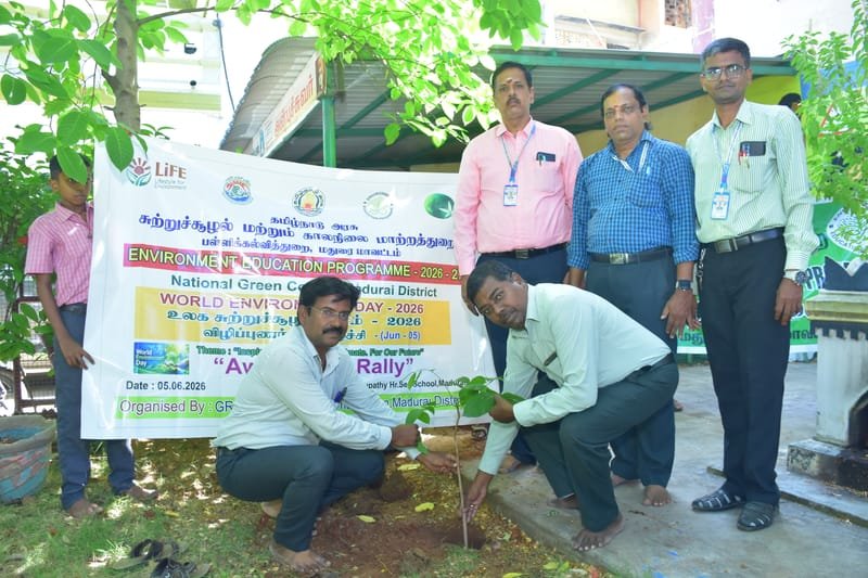 Native Tree Plantation